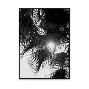 Palm trees 50*70